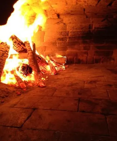 Briisa De Ness Nesso