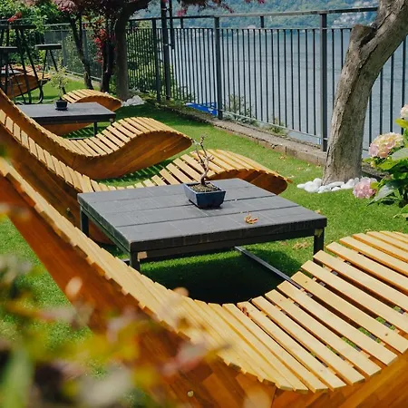 Briisa De Ness Nesso