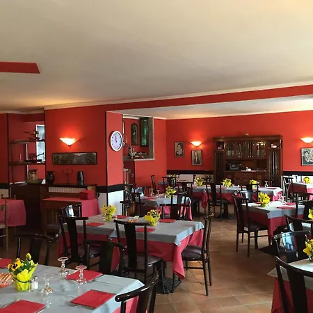 Briisa De Ness Nesso